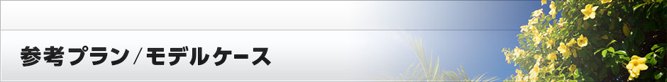 参考プラン/モデルケース